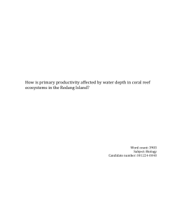 How is primary productivity affected by water depth in coral reef