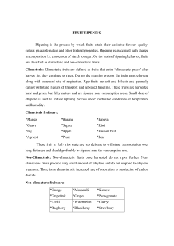 FRUIT RIPENING Ripening is the process by which fruits attain their