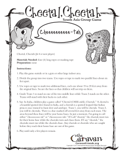 Cheetal Cheetah group game
