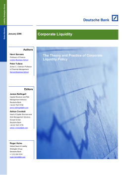 Corporate Liquidity Policy