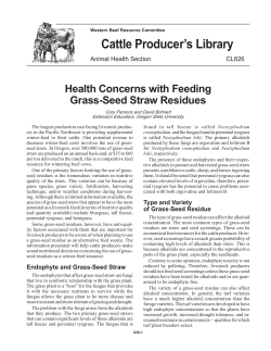 Cattle Producer`s Library