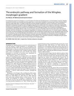 The endocytic pathway and formation of the