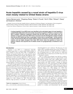 Acute hepatitis caused by a novel strain of hepatitis E virus most