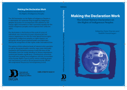 Making the Declaration Work - International Funders for Indigenous