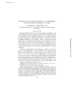 STUDIES OF THE DEGENERATION AND REGENERA- TION