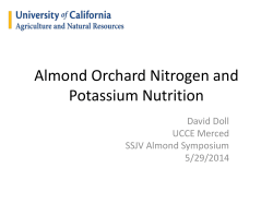 Almond Orchard Nitrogen and Potassium Nutrition