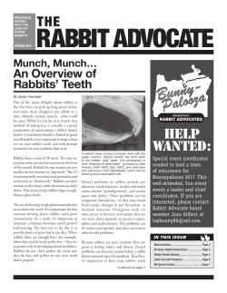 Spring 2017 newsletter