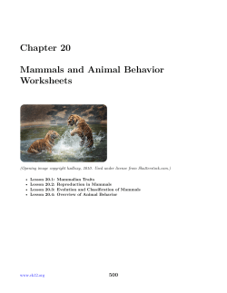 Chapter 20 Mammals and Animal Behavior Worksheets