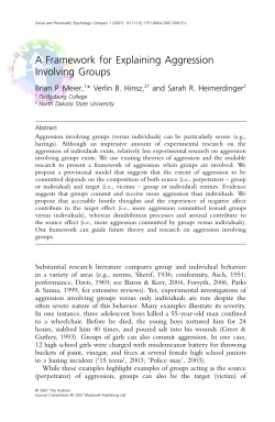 A Framework for Explaining Aggression Involving Groups