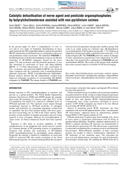 Catalytic detoxification of nerve agent and pesticide