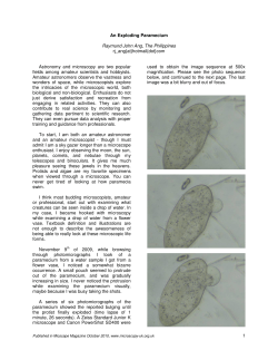 An exploding paramecium - Microscopy-UK