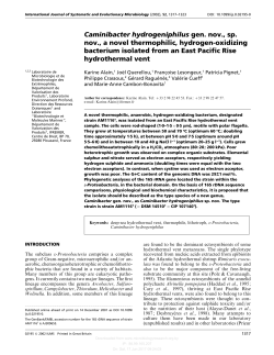 Caminibacter hydrogeniphilus gen. nov., sp. nov., a novel
