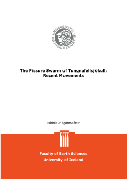 The Fissure Swarm of Tungnafellsj&ouml;kull: Recent