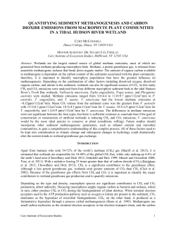 quantifying sediment methanogenesis and carbon dioxide