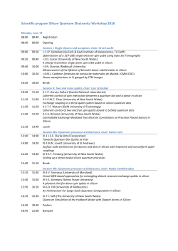 Scientific program Silicon Quantum Electronics Workshop 2016