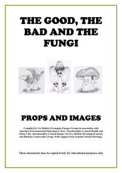 the good, the bad and the fungi