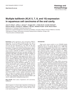 Multiple kallikrein (KLK 5, 7, 8, and 10) expression