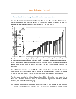 Mass Extinction Practical