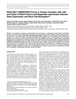 RICE SALT SENSITIVE3 Forms a Ternary Complex
