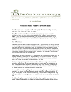 Holes in Trees: Hazards or Harmless?
