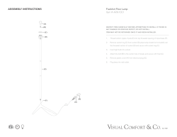 ASSEMBLY INSTRUCTIONS Frankfort Floor Lamp