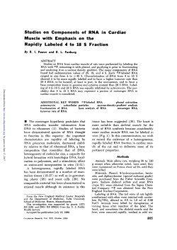 Studies on Components of RNA in Cardiac Muscle with Emphasis