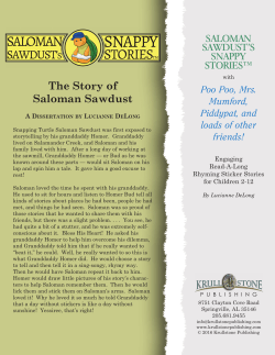 The Story of Saloman Sawdust