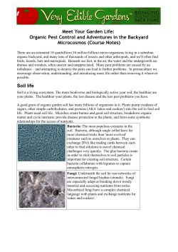 Meet Your Garden Life: Organic Pest Control and Adventures in the