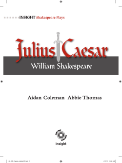 Preview - Insight Publications