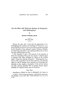 On the Skin and Wervons System of Priapulus and Halicryptus.