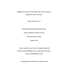 Reliability of a measure of total lumbar spine