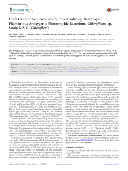 Draft Genome Sequence of a Sulfide