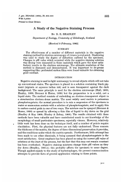 A Study of the Negative Staining Process