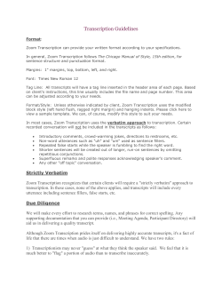 Transcription Guidelines