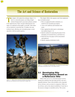 The Art and Science of Restoration