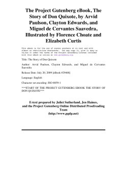 chapter i - Viggiosoft