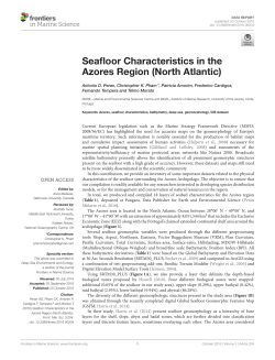 Seafloor Characteristics in the Azores Region (North Atlantic)