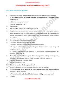 Histology and Anatomy of Flowering Plants