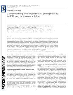 Is the noun ending a cue to grammatical gender processing? An