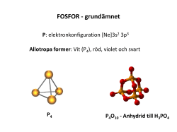 FOSFOR - grund&auml;mnet