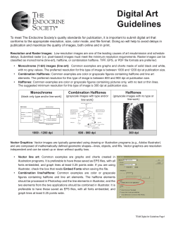 Digital Art Guidelines