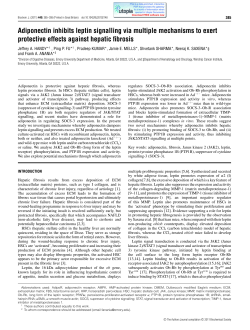 Adiponectin inhibits leptin signalling via multiple mechanisms to