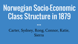 Norwegian Socio-Economic Class Structure in 1879