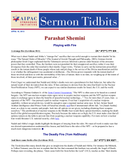 Parashat Shemini