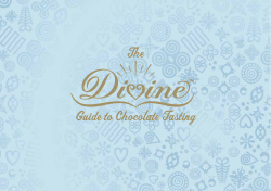 Guide to Chocolate Tasting The