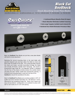 SnoShock - Black Cat Wear Parts