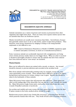 hazardous aquatic animals - The Ornamental Aquatic Trade