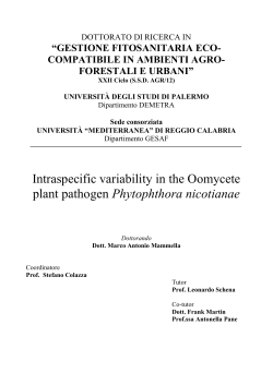 Intraspecific variability in the Oomycete plant pathogen