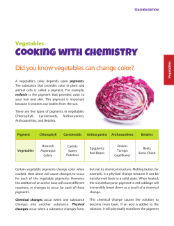 Cooking With Chemistry Teacher Key