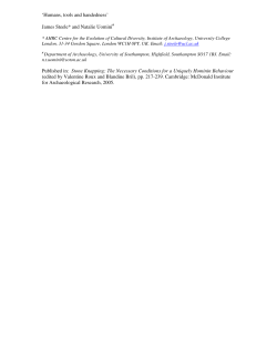 Humans, tools and handedness